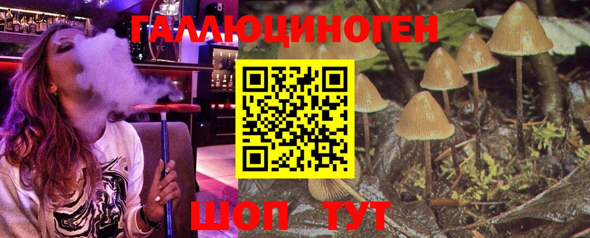 Чапаевск  цены   Вход с VPN  Галлюциногенные грибы Cubensis 